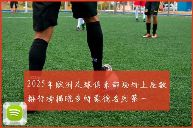 2025年欧洲足球俱乐部场均上座数排行榜揭晓多特蒙德名列第一