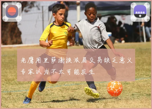 老鹰用里萨谢换浓眉交易缺乏意义专家认为不太可能发生