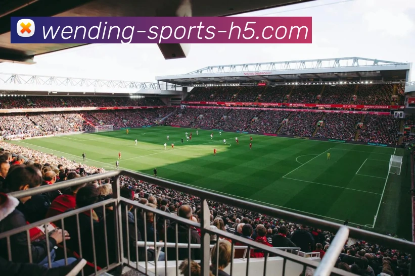 多媒体互动体验